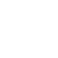 Michigan Adoptee Rights Coalition